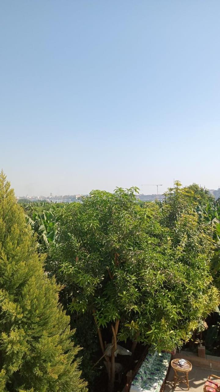 Tomorrow Land Villa Луксор Экстерьер фото